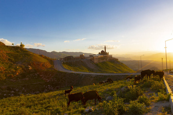 shak Pasha Palace or shak Pasha Complex is a bey castle located 5 kilometers away from Doubayazt near Ar Mountain. - Photo, Image