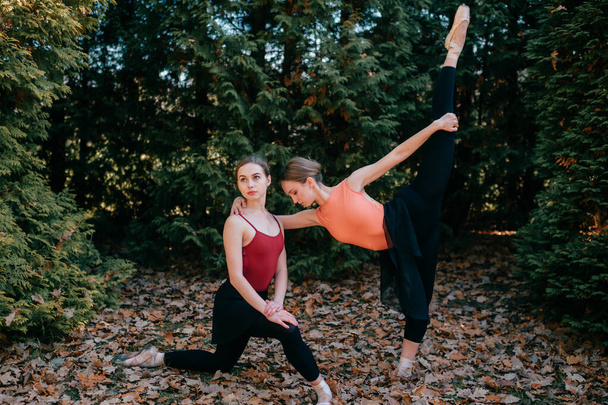 Two young female ballet dancers doing exercices and stretching in park. - Fotó, kép