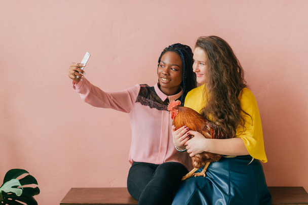 Odd excited interracial female couple with funny laughing faces and domestic cock in hand take selfie with phone on pink background. New trend concept - unusual pet. Interantional women friendship - Foto, Imagem