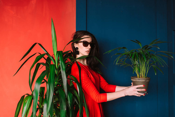Beautiful fashion girl with long hair,  in sunglasses and red elegant dress posing on blue red wall with green plant at pot in hands. Indoor soft focus portrait of stylish brunette passionate woman  - 写真・画像