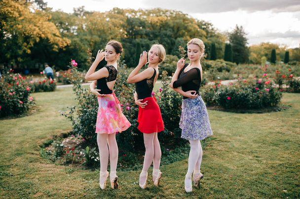 Three young beautiful ballerina women in shite tights and colorful skirts posing with grace in summer park. - Foto, immagini