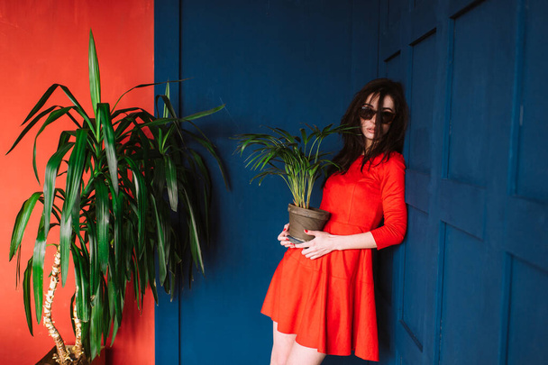 Beautiful fashion girl with long hair,  in sunglasses and red elegant dress posing on blue red wall with green plant at pot in hands. Indoor soft focus portrait of stylish brunette passionate woman  - Фото, зображення