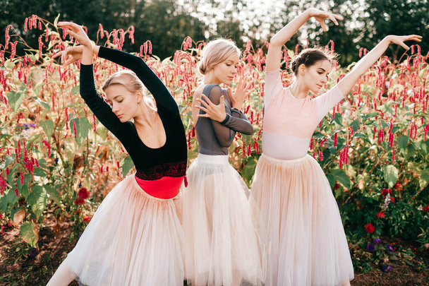 Dramatic portrait of three graceful ballerinas posing and dancing over pink flowers on background. - Φωτογραφία, εικόνα