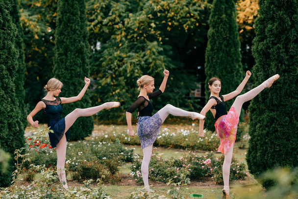 Three funny ballerinas doing exercices at nature - Photo, Image