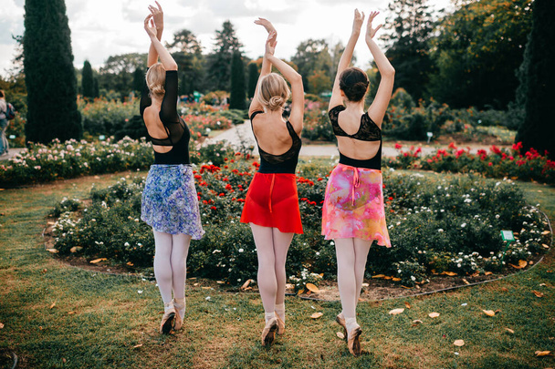 Portrait from behind of three graceful ballerinas girls posing in beautiful park with flowers. - Foto, Imagem
