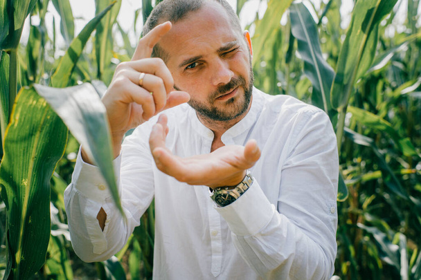 Portrait of beautiful caucasian man with short dark hair in white shirt, blue jeans relaxes in the big cornfield and shows a camera with his fingers - Photo, Image