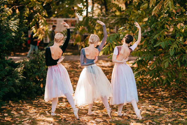 Three ballerina girls posing and dancing in beautiful park. - Foto, Imagem