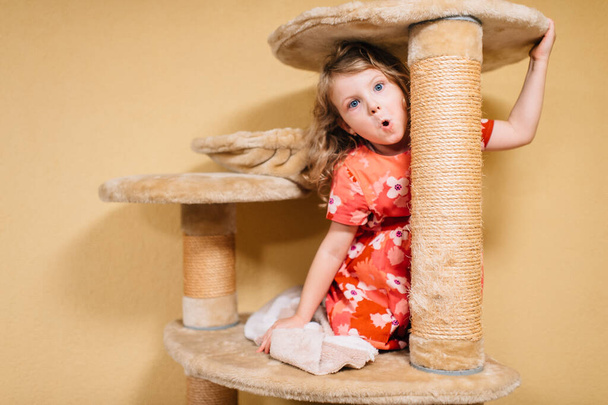 Picture of little beautiful girl with fair hair in red dress plays with a sore cat house at home - 写真・画像