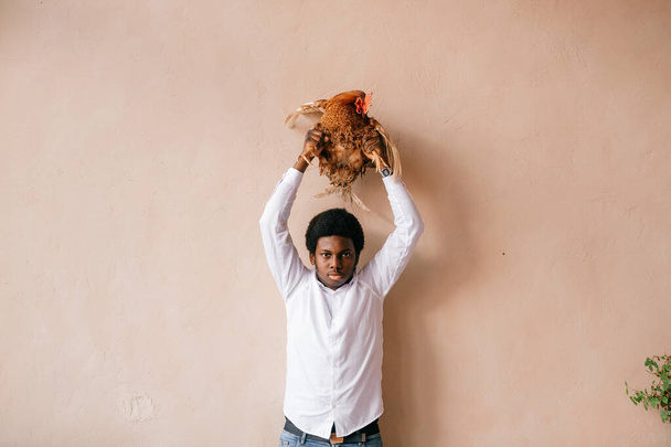 African american man holding chicken above his head in studio. Dark skinned man and his friend - rooster.  - Foto, afbeelding