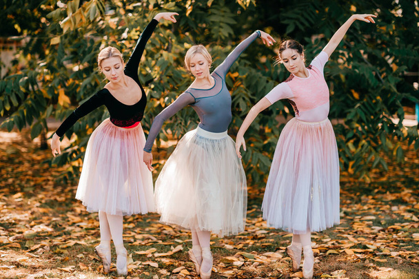 Three ballerina girls posing and dancing in beautiful park. - Fotó, kép