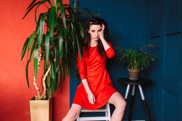 Lovely caucasian female with long dark hair, in red elegnat dress and sunglasses posing on blue red wall in studio. Indor soft focus portrait of stylish brunette babe sitting between two plants - Φωτογραφία, εικόνα