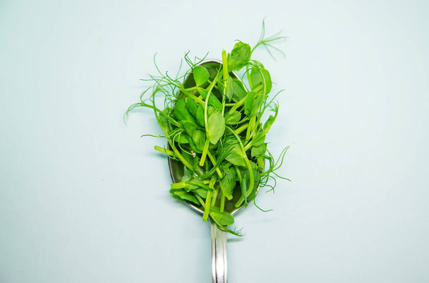 白い背景に小さな緑のエンドウ豆の芽。選択的焦点. - 写真・画像
