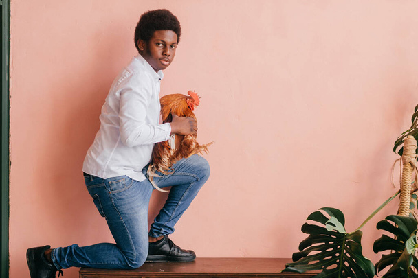 African american man with chicken on pink background in studio. Dark skinned man and his friend - rooster.  - Foto, immagini