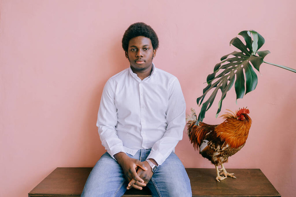 African american man with chicken on pink background in studio. Dark skinned man and his friend - rooster.  - Photo, Image