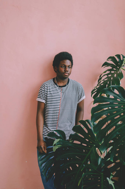 Indoor lifestyle  fashion portrait of dark-skinned african american young man standing on pink wall background with plant branch in front of his face. Black nigerian male looking through palm leaves. - Фото, зображення