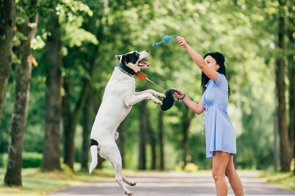 Happy cheerful smiling brunette girl in blue summer dress playing with big hunting dog in park. Beautiful young woman training her active funny puppy outdoor. Cute teen loves animals. Breeding pet - Zdjęcie, obraz