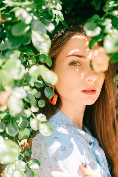 Fashion portrait of young brunette female model in the bushes - Foto, afbeelding