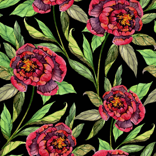 Seamless pattern with watercolor peonies on a black background. Floral print. For textiles, wallpaper, wrapping paper and more. - Photo, Image