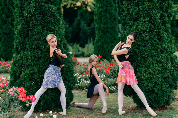 Three modern female ballet dancers posing in beautiful park. - 写真・画像