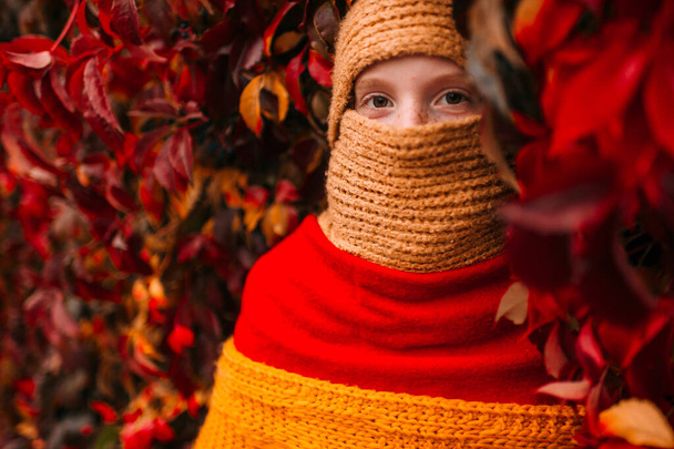 Portrait of young freckles girl wearing unusual stylish costume.  Little girl covered with three different colors scarves over ivy wall on background. - Valokuva, kuva