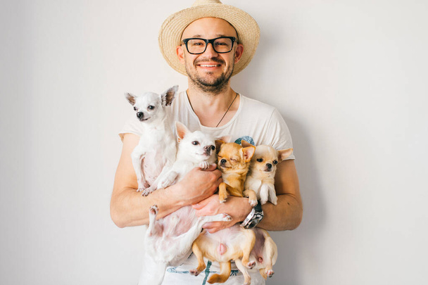 Young happy european smiling and laughing bearded hipster man in straw hat and glasses holding in hands four chihuahua puppies dogs with funny faces and emotions and looking in different directions.  - Фото, зображення