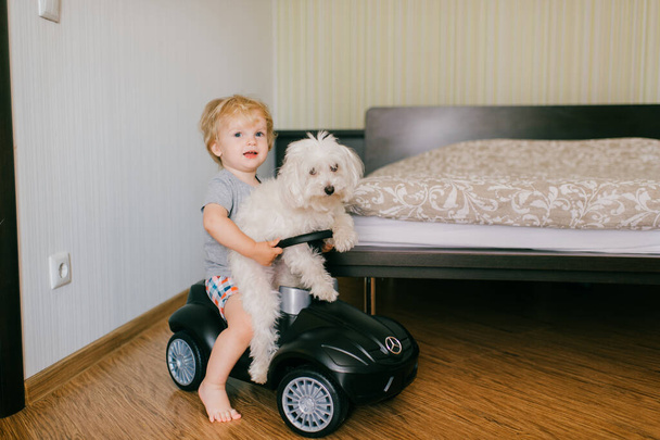 Picture of cute little caucasian boy with short fair hair in grey t-shirt and yellow shorts have a lot of fun with his pretty white dog. - Valokuva, kuva