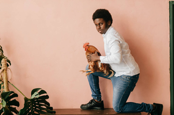 African american man with chicken on pink background in studio. Dark skinned man and his friend - rooster.  - Фото, изображение