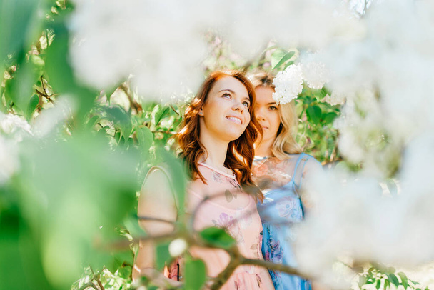 Adorable happy cheerful fabulous twin sisters in different beautiful summer dresses posing outdoor.  Similar cute female models in lilac colorful bushes with bloming flowers in park portrait.  Family - Φωτογραφία, εικόνα