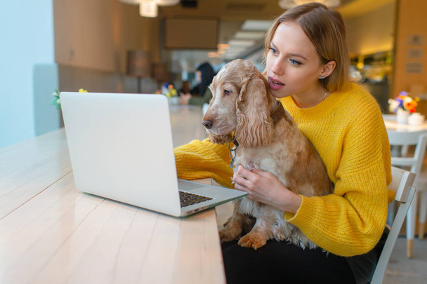 Portrait of beautiful blogger babe with surprised face holding her adorable puppy and using laptop while watching comedy. - Fotografie, Obrázek