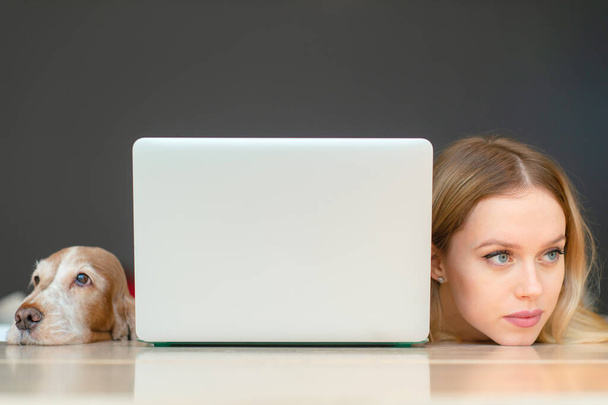 Closeup portrait of blonde woman head and head of her cocker spaniel dog lying togther on a table along the edges of laptop - Φωτογραφία, εικόνα