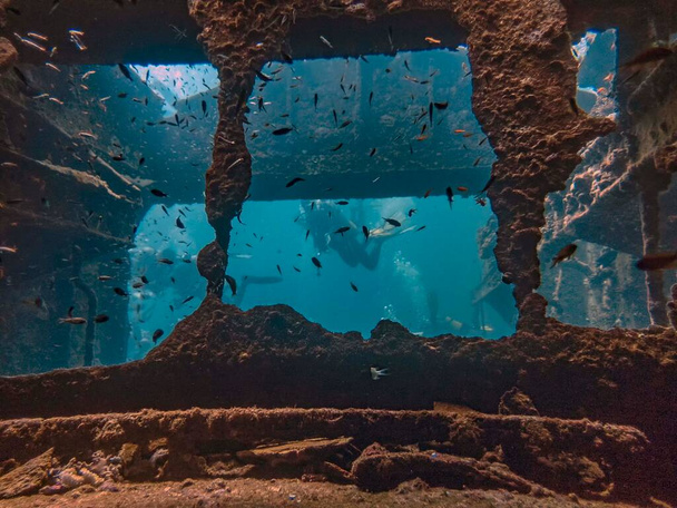 Inside the wreck of the Crisoula K in Abu Nuhas, Red Sea - Photo, Image