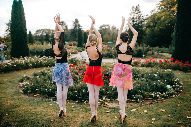 Portrait from behind of three graceful ballerinas girls posing in beautiful park with flowers. - Photo, Image