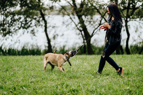 Young active guardian of animals girl playing and have fun with her furious frisky fast joyful dog outdoor in summer. Cute female owner walking with comic muzzle crazy puppy. Kind woman cares canine - Zdjęcie, obraz