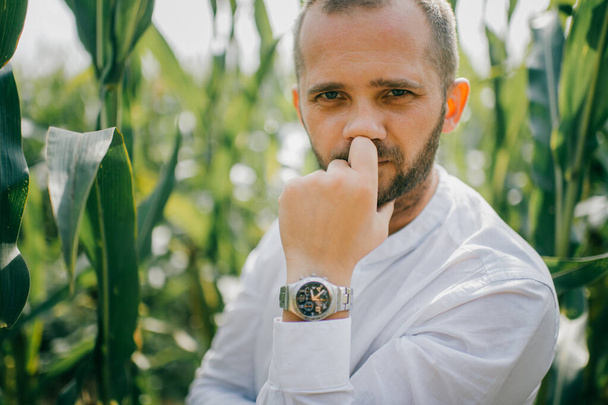 Handsome young caucasian male with short dark hair in white shirt, blue jeans shows different poses for the camera in the big cornfield. - Фото, изображение