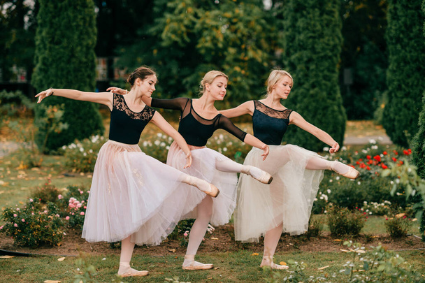 Three women ballerinas dancing and posing in beautiful park with bushes and flowers. - Fotó, kép