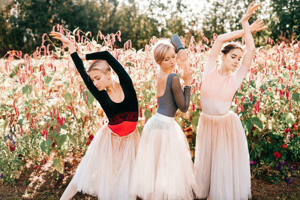 Dramatic portrait of three graceful ballerinas posing and dancing over pink flowers on background. - Fotografie, Obrázek