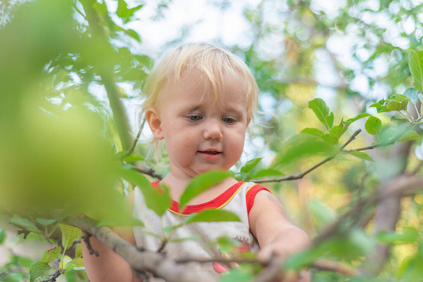 Pieni lapsi istuu puussa, jolla on likaiset kasvot - Valokuva, kuva