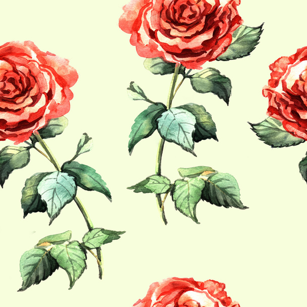 Beautiful watercolor seamless with roses - Photo, image