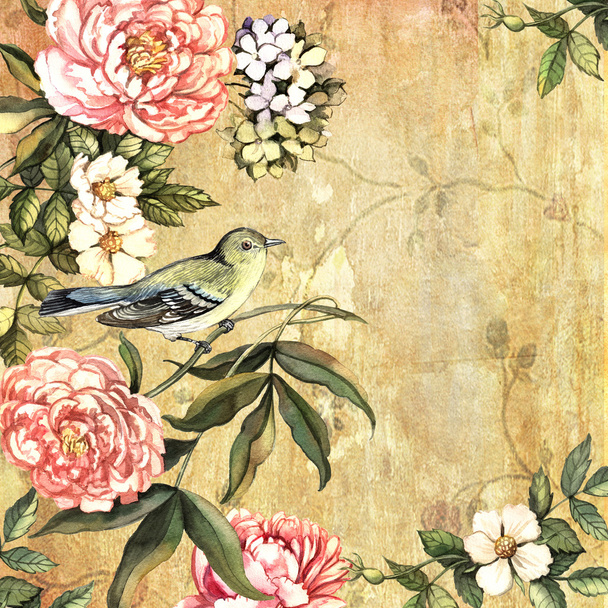 Vintage watercolor background with a bird - Foto, Imagem