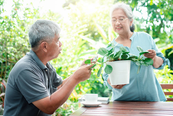 Eine fröhliche und lächelnde alte asiatische Frau pflanzt nach der Pensionierung mit ihrem Mann für ein Hobby. Konzept eines glücklichen Lebensstils und guter Gesundheit für Senioren. - Foto, Bild