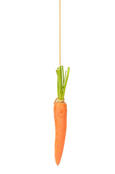 Carrot on String - Photo, Image