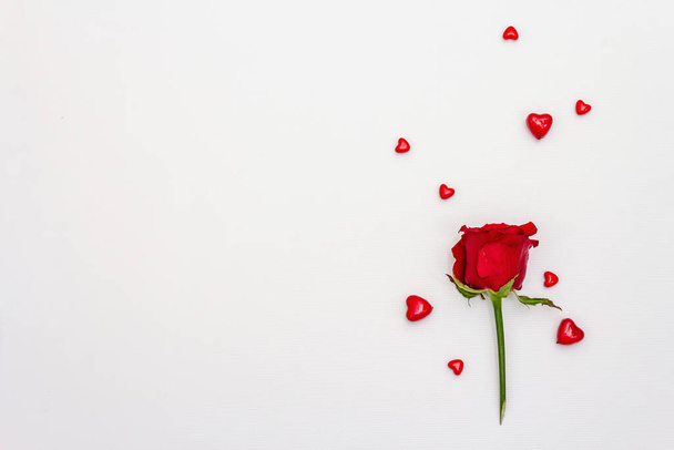 Red hearts and fresh fragrant rose isolated on white background. Valentine's day or Wedding romantic concept, top view, copy space, flat lay - 写真・画像