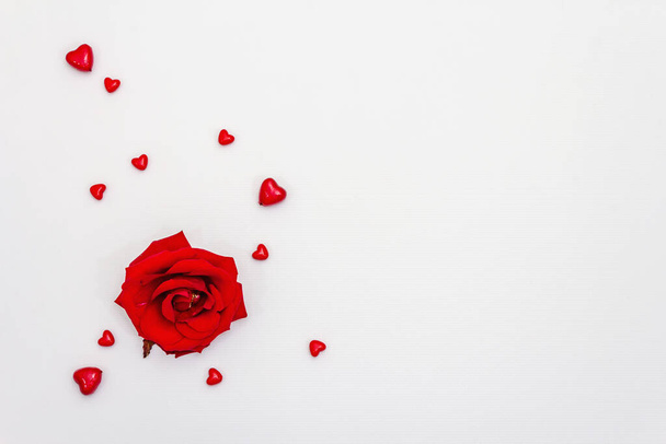 Red hearts and fresh fragrant rose isolated on white background. Valentine's day or Wedding romantic concept, top view, copy space, flat lay - Foto, afbeelding