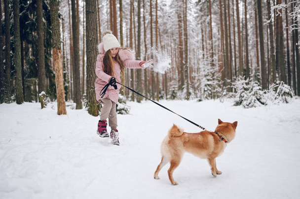 Feliz fin de semana familiar - niña linda en ropa interior de color rosa cálido caminar divirtiéndose con el perro shiba inu rojo en el bosque de invierno frío blanco nevado al aire libre. Concepto de actividades deportivas para niños - Foto, Imagen