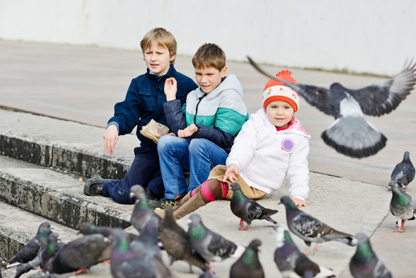  children feeding doves - Foto, Imagen