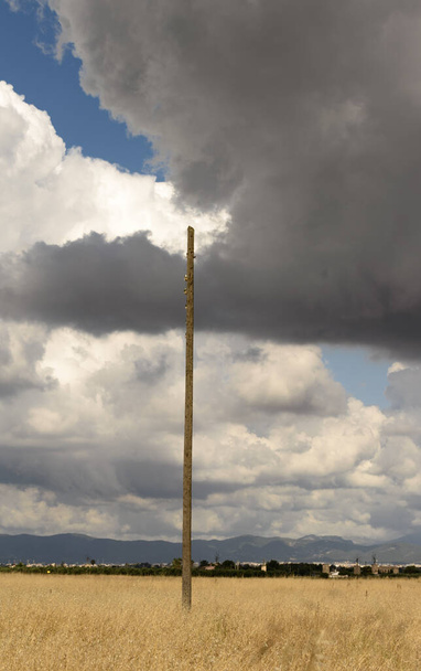 A vertical shot of a long wooden pole under a cloudy sky on a field - 写真・画像