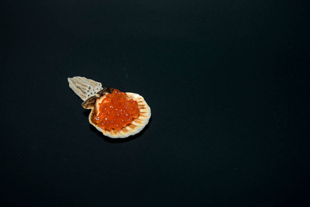 Red chum salmon caviar in an oyster shell, next to  shells of various shapes. Isolate on a black background. - Photo, Image