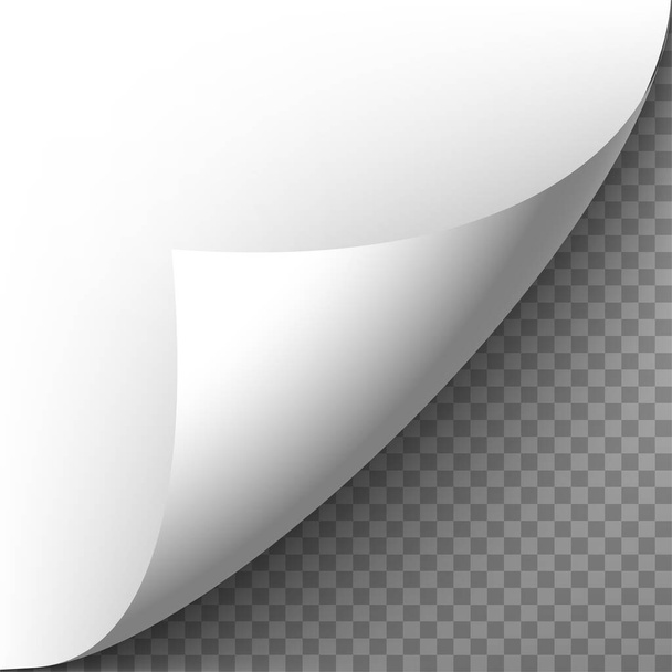 3d realistic vector paper corner on transparent background. - Vector, Image