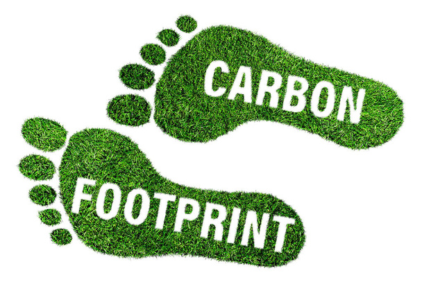 koncepce uhlíkové stopy, bosá stopa z bujné zelené trávy - Fotografie, Obrázek