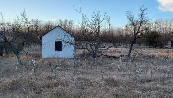 A view of a small house surrounded with dried trees and grass - Foto, Bild